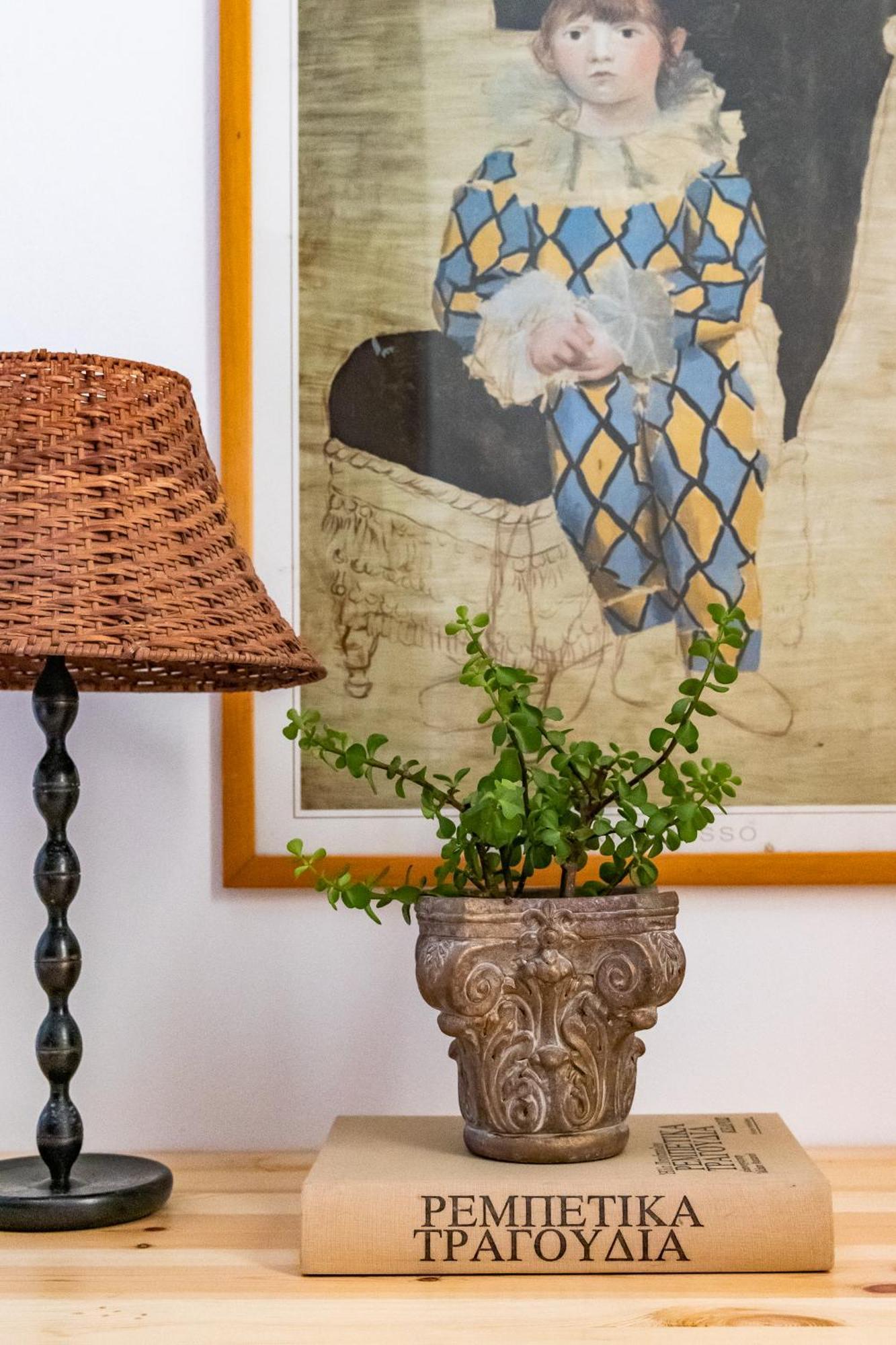Drosia Home スコペロス エクステリア 写真